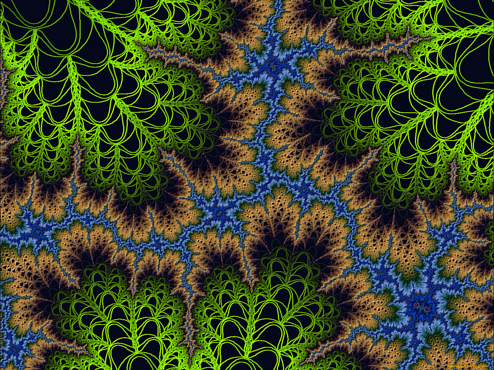 3, , fractal, , , 